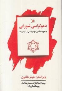 دموکراسی شورایی