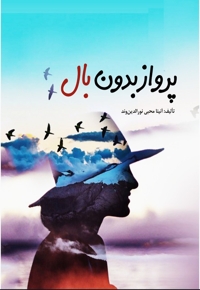 پرواز بدون بال