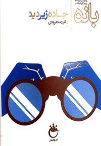 جاده زیر دید