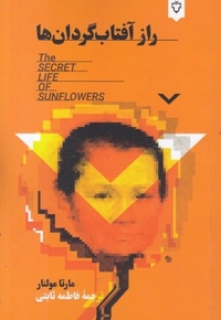 راز آفتاب گردان ها
