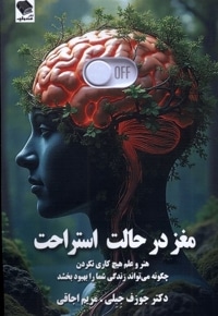 مغز در حال استراحت