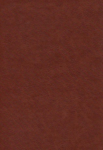 تخت جمشید جیبی چرم