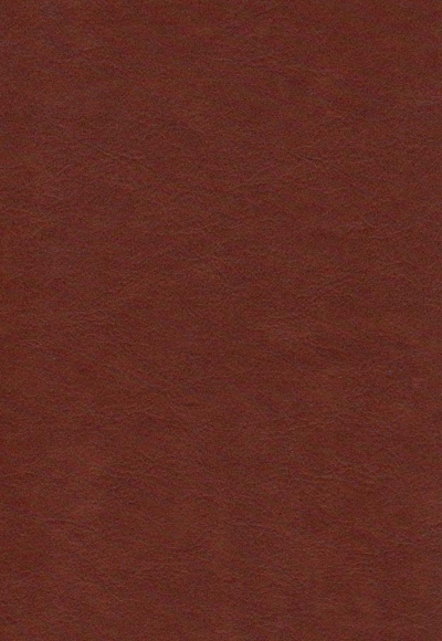 پاسارگاد جیبی چرم