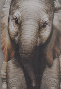 داستان زندگی فیل کوچولو