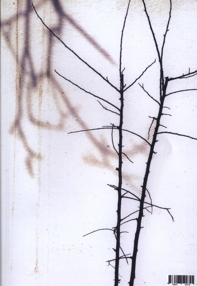 کتاب منتخبات