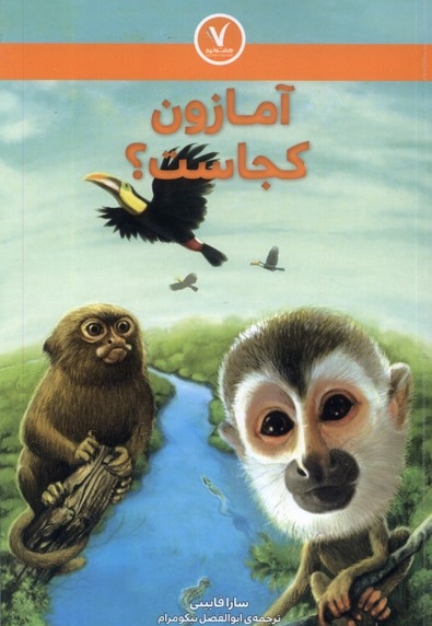 آمازون کجاست