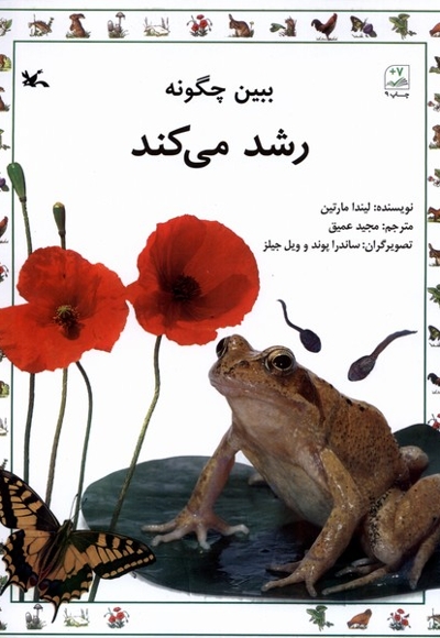 ببین چگونه رشد می کند