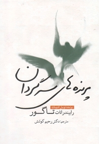 پرنده  های سرگردان