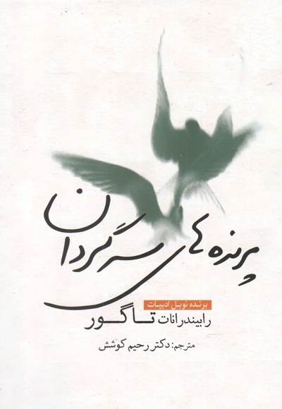 پرنده  های سرگردان