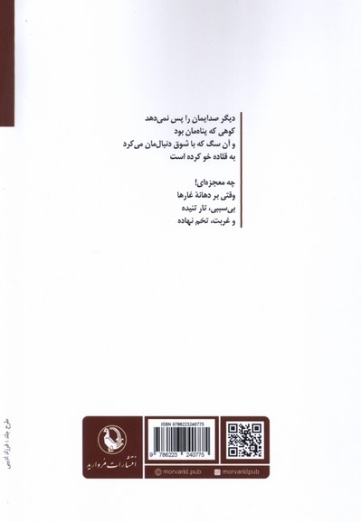 کوه صدایم را پس نمی دهد