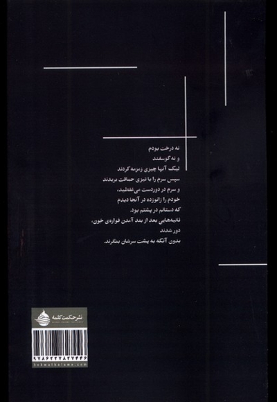 شبی در تمام شهر