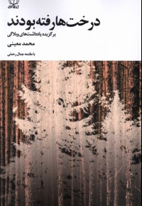 درخت ها رفته بودند