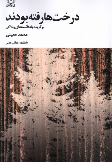 درخت ها رفته بودند