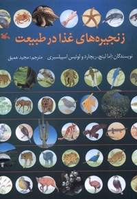 زنجیره های غذا در طبیعت