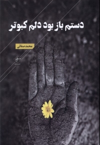 دستم باز بود دلم کبوتر