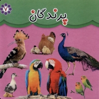 پرندگان