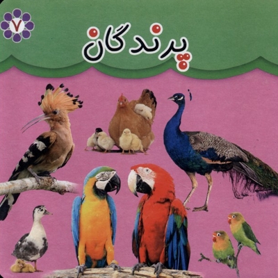 پرندگان
