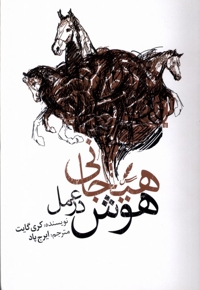 هوش هیجانی در عمل