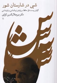 شبی در شارستان شور