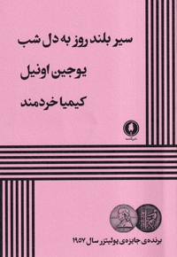 سیر بلند روز به دل شب