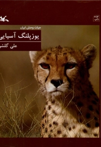 یوزپلنگ آسیایی حیات  وحش  ایران