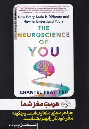 هویت مغز شما