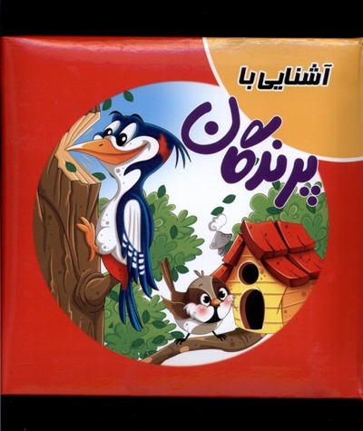 کتاب پازل آشنایی  با پرندگان