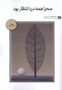 صحرا همه درد انتظار بود