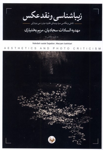 زیباشناسی ونقد عکس