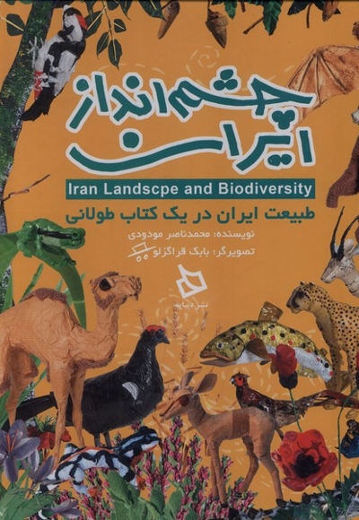 چشم انداز ایران