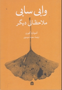 وابی سابی ملاحظاتی دیگر