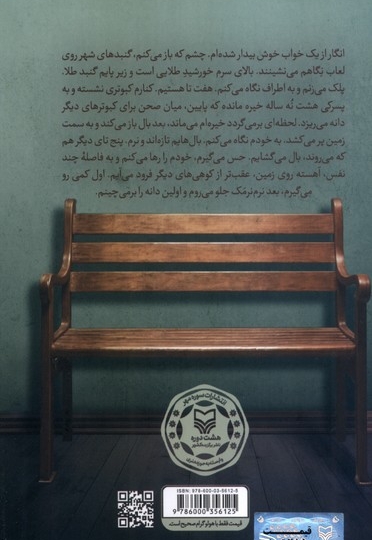 آقای دیوانه