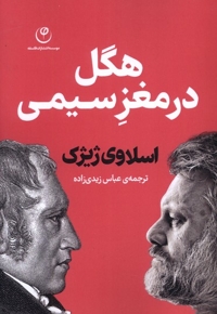هگل در مغز سیمی