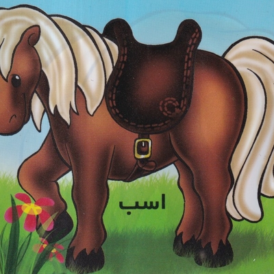 آموزش خردسالان اسب