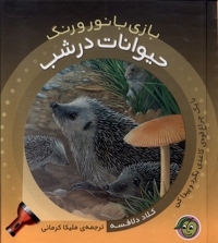 بازی با نور و رنگ حیوانات درشب