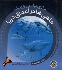 بازی با نور و رنگ ماهی ها دراعماق دریا