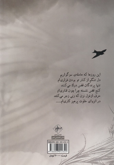 زن را میان این غزلم حبس کرده اند