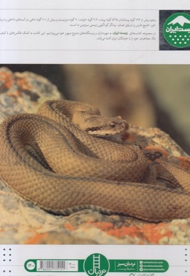 زیست ایران 4-خزندگان ایران