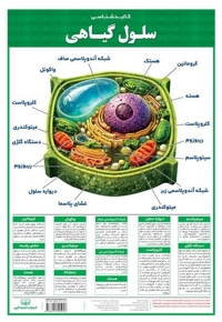 لمینت کالبد شناسی سلول گیاهی