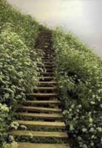 ترک معبر