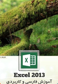 آموزش فارسی و کاربردی Excel 2013 - ناشر: دانش نگاران برنا - نویسنده: wily