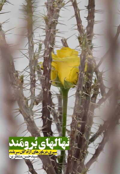 نهال های برومند نهال های برومند -
